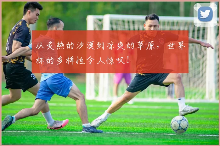 从炙热的沙漠到凉爽的草原,世界杯的多样性令人惊叹!