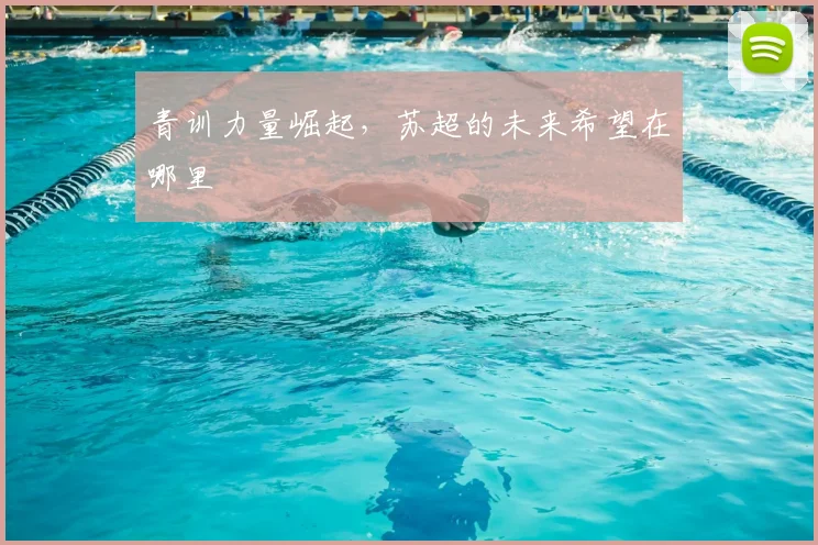 青训力量崛起,苏超的未来希望在哪里