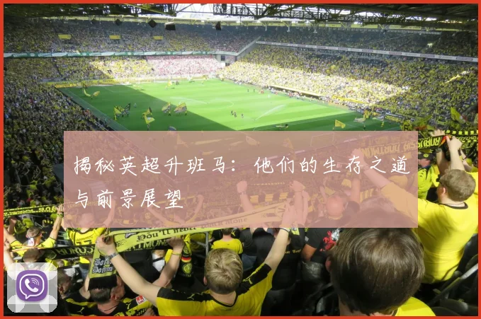 揭秘英超升班马:他们的生存之道与前景展望